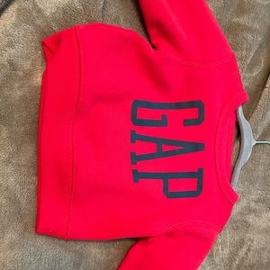 Gap Sweater